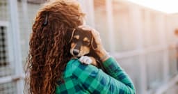 How Much Does It Cost To Surrender A Dog?