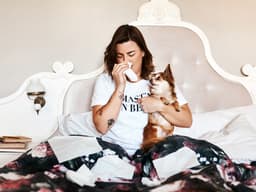 How to Keep Your Pet Allergies in Check