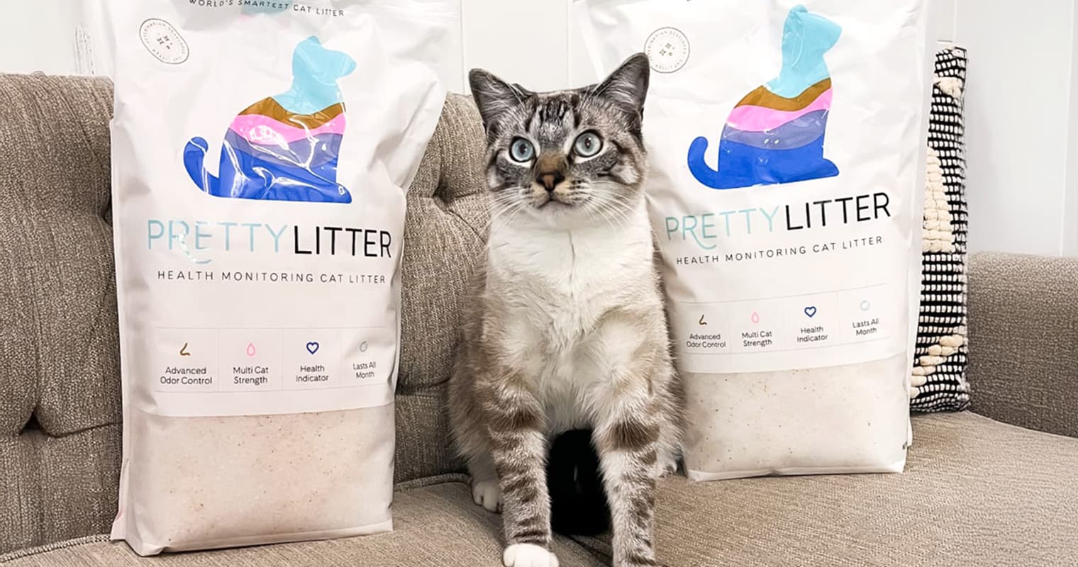 aap-hero-pretty-litter