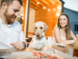 Labs Are Actually Hungrier Than Other Dogs, New Study Finds