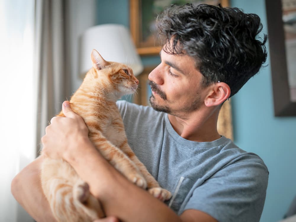 The 8 Most Misunderstood Cat Behaviors