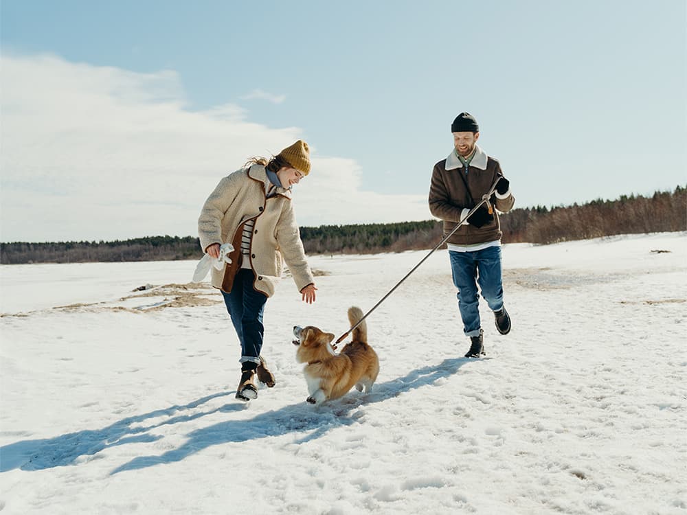 7 Professional Dog Walker Tips to Help You Survive Winter With Your Pup