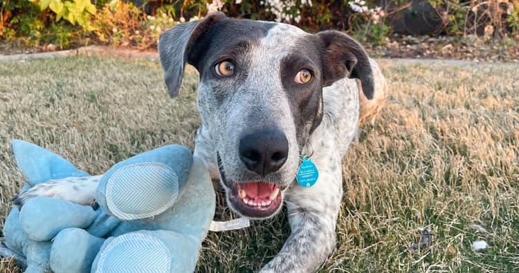 Luna’s Story of Learning to Trust