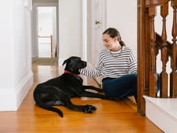 How to Be a Great Pet Sitter