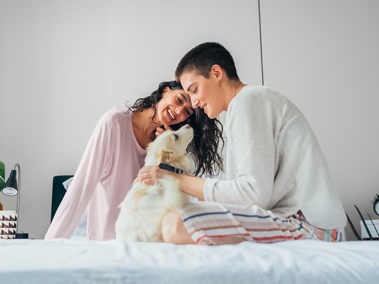 The Dog Likes Me Better (and Other Petty Heart-Warmers)