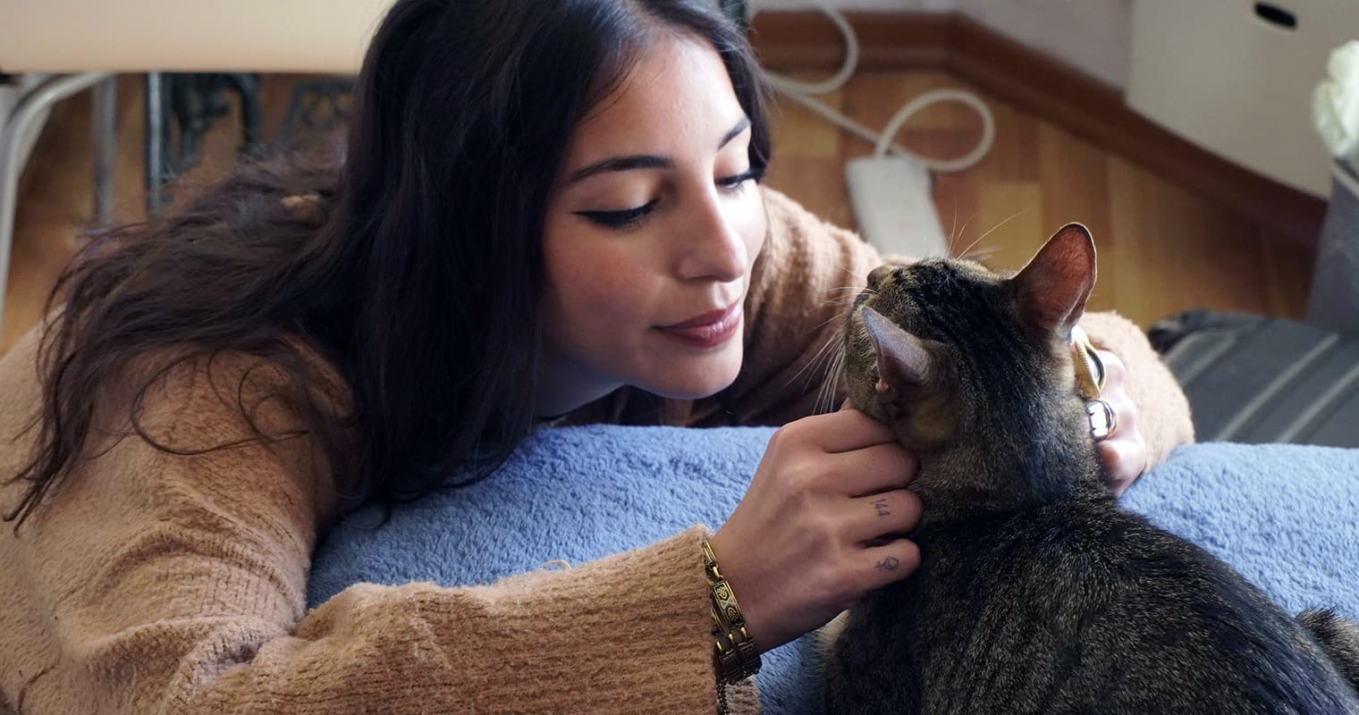 Can You Live With A Cat If You Are Allergic?