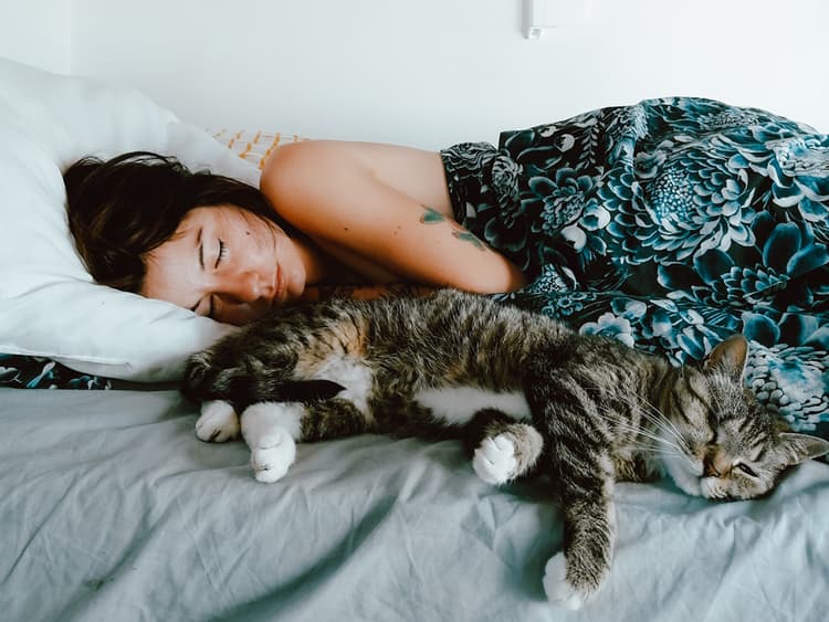 Should I Let My Cat Sleep With Me? Things to Consider About Having Your Cat in Bed