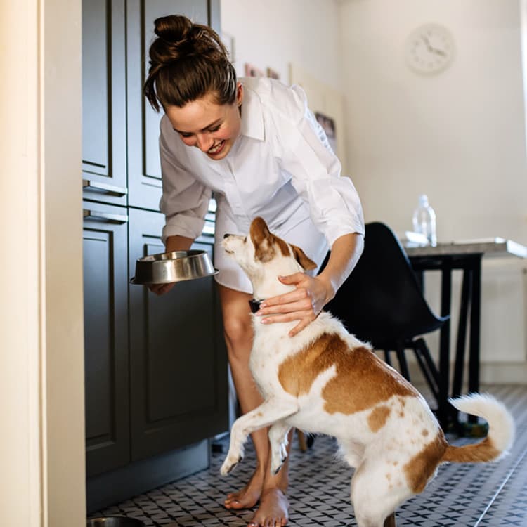 Human-Grade Dog Food Brands Are Everywhere—Should Your Pup Indulge?