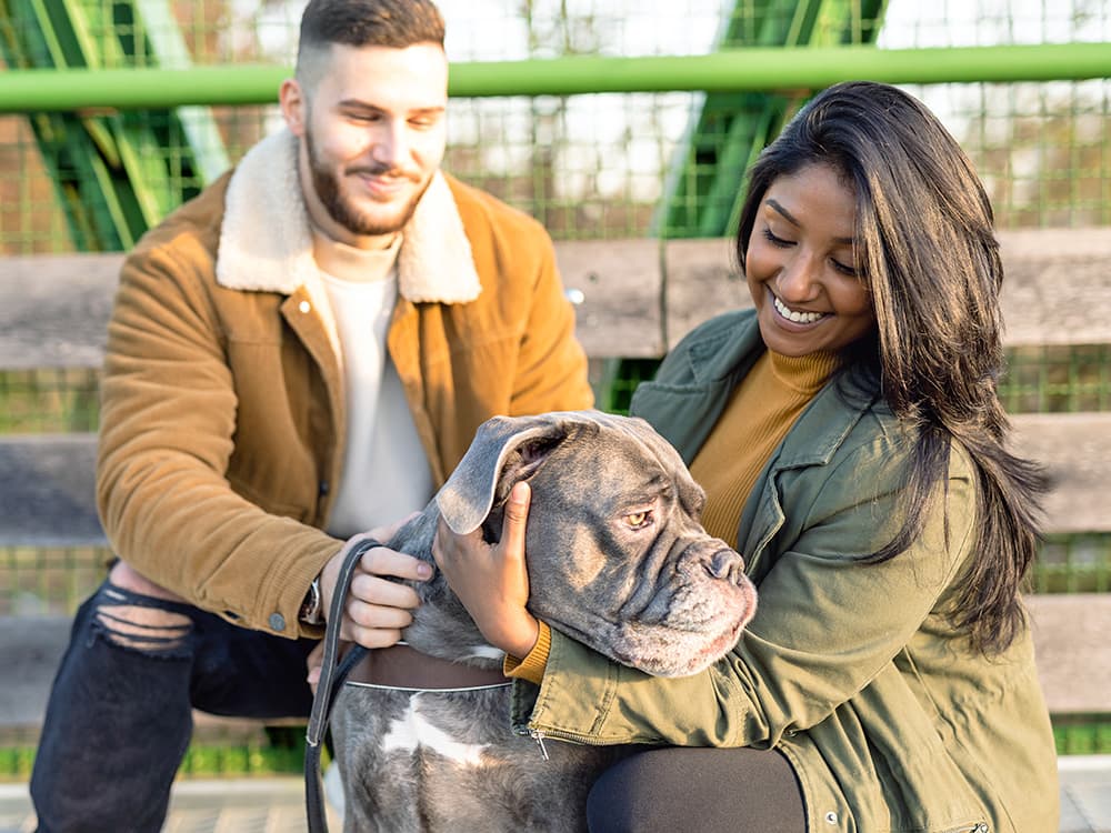 8 Simple Ways to Make Sure Your Dog Doesn’t Get Jealous of Your New Boo