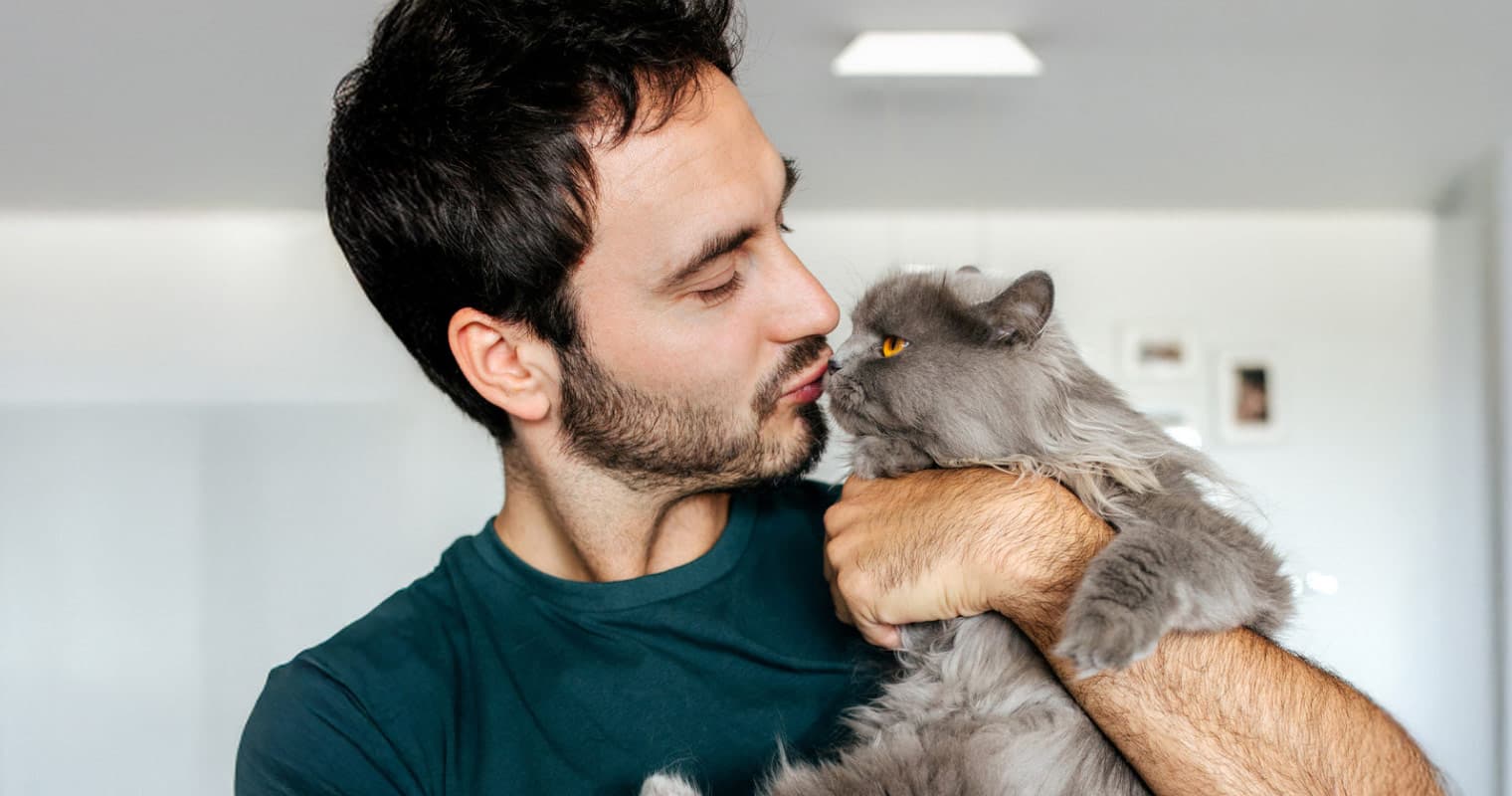 10 Fluffiest Cats & Kittens for Lovers of Long-Haired Felines