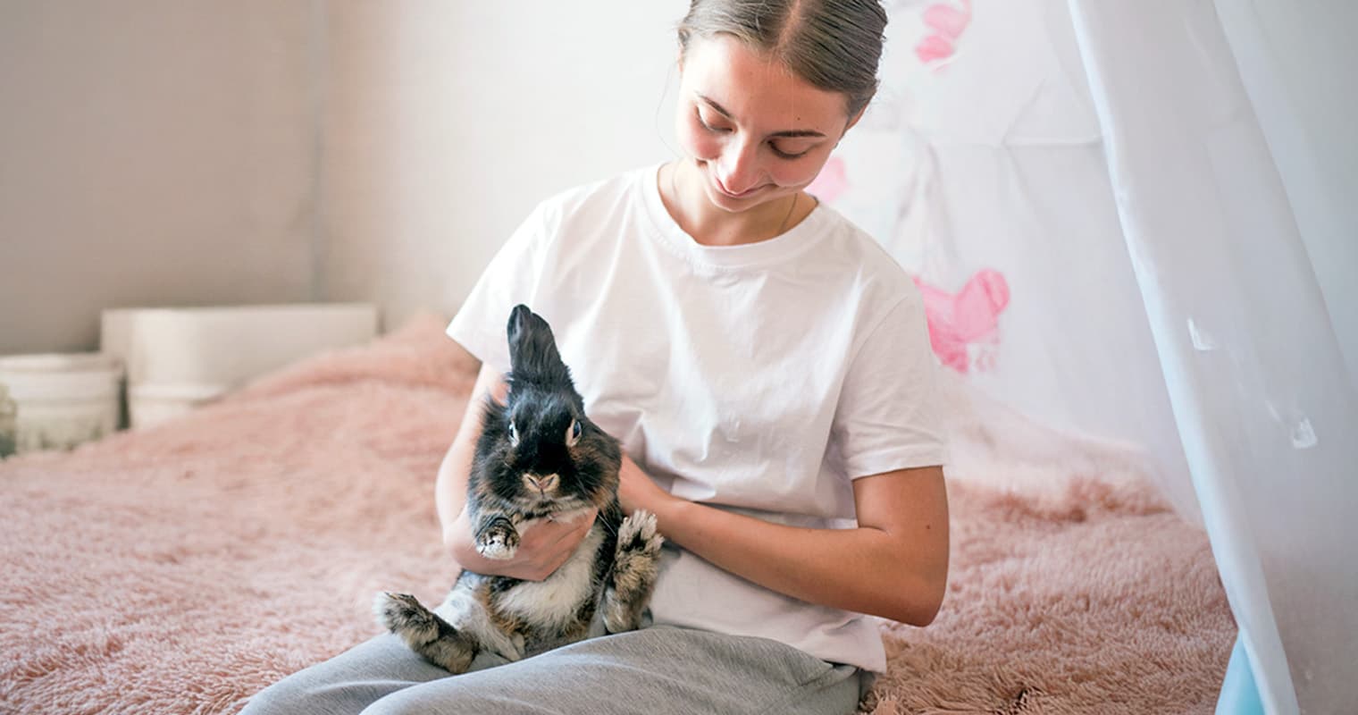 How Do You Know if Your Rabbit Actually Likes You?