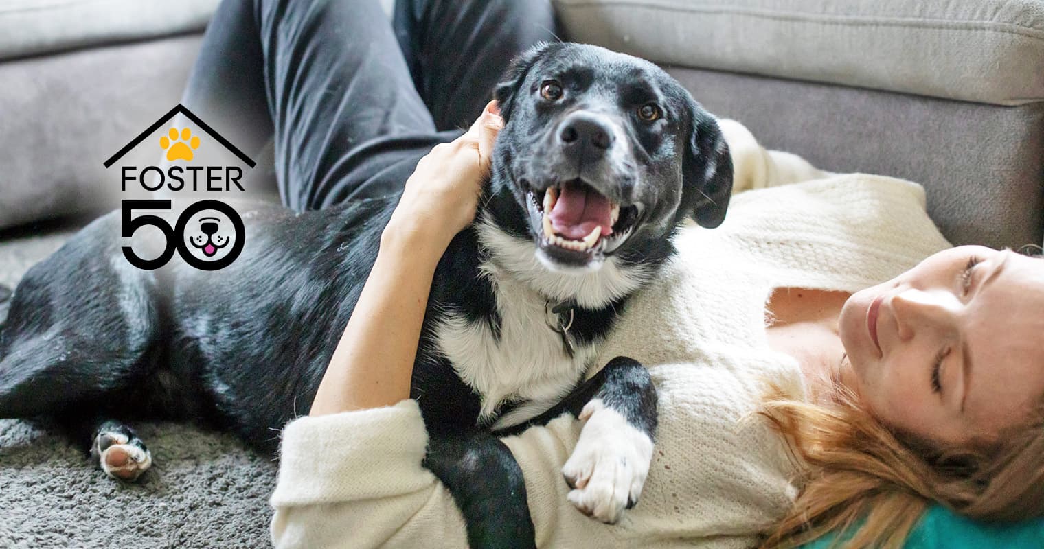 Why Fostering Is a Win-Win for Pets and Humans