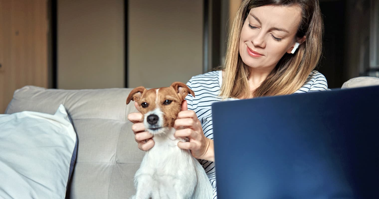 How Long Does It Take a Jack Russell Terrier to Get Used to a New Home?