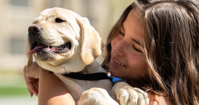 Duke’s Puppy Kindergarten Is Training the Next Generation of Service Dogs