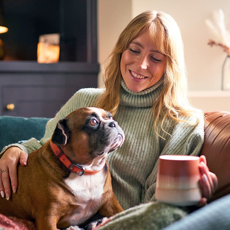 Does the ‘Let Them’ Theory Work With Pets?