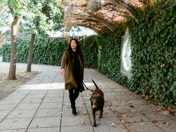Dog Walking 101: How Often Should You Walk Your Dog?