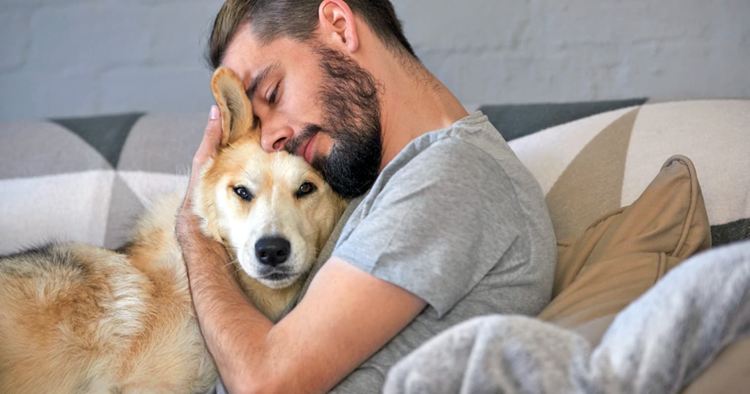 How Do I Find a Good Home for My Husky?