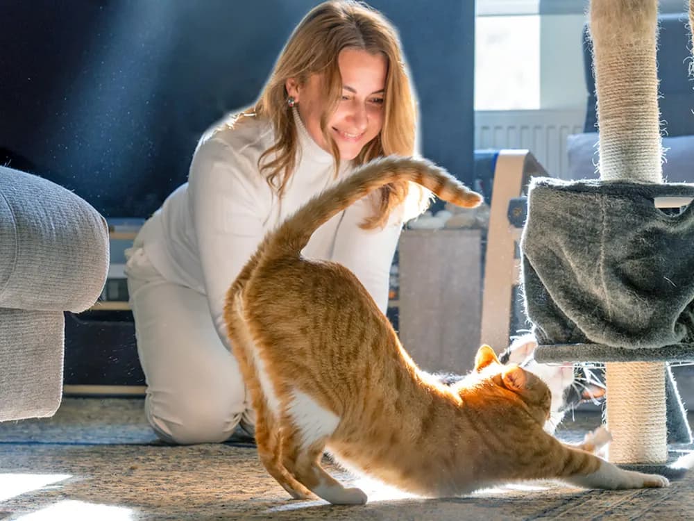 pet parent playing with cat to provide them with enrichment