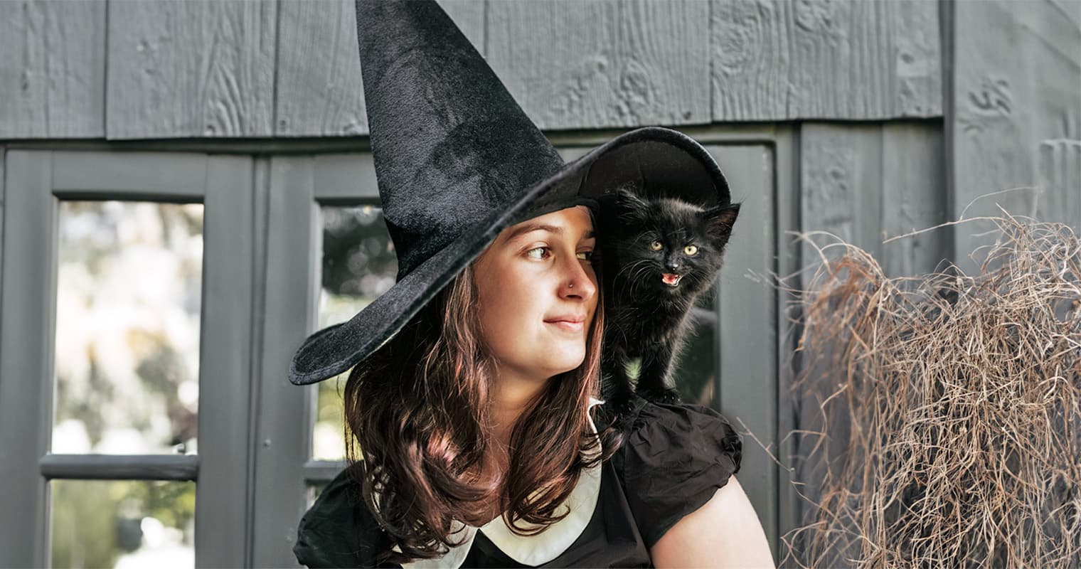 Cat Names Inspired by Harry Potter