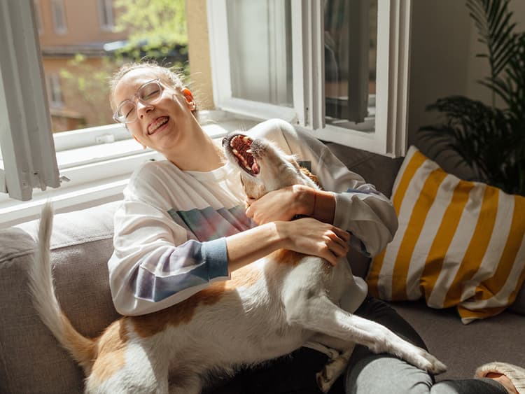 7 Myths About Rescue Animals—Debunked