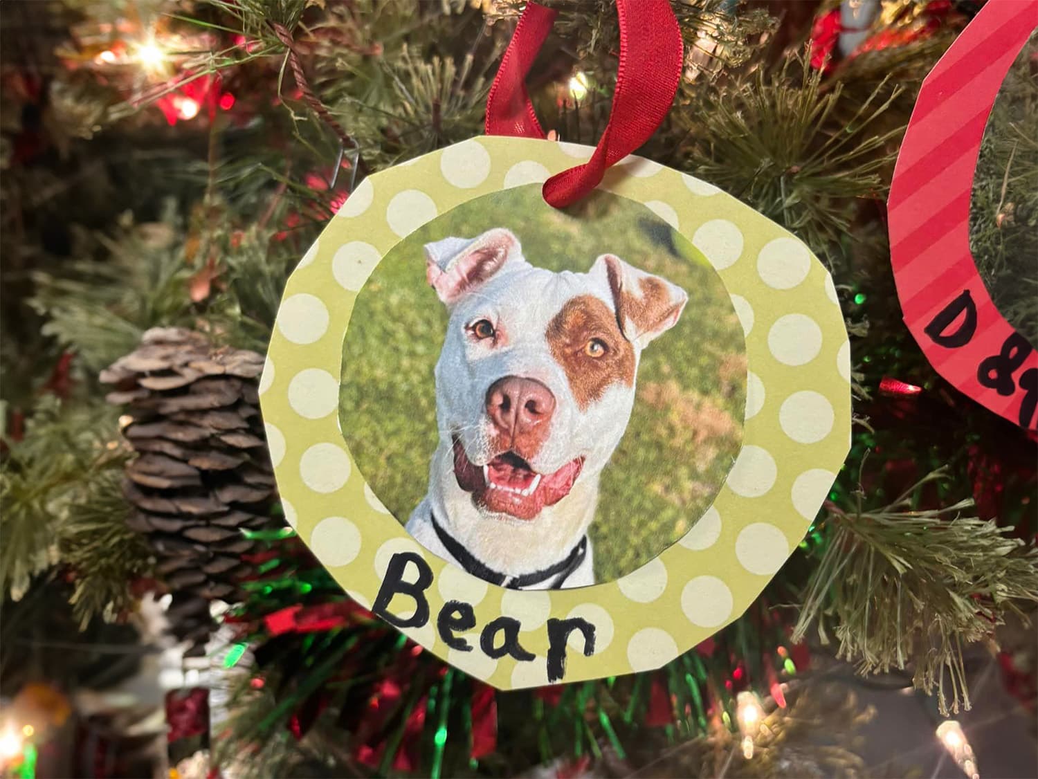 shelter dog ornaments