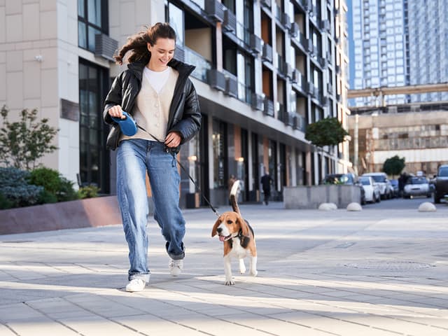 How to Test the Waters of Pet Parenthood