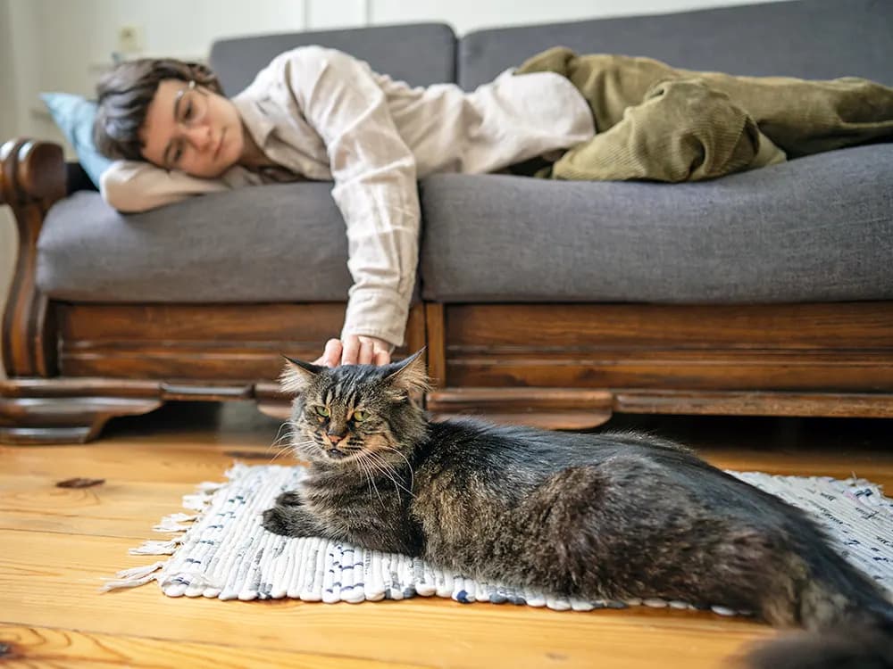 woman petting cat who is lying on the ground
