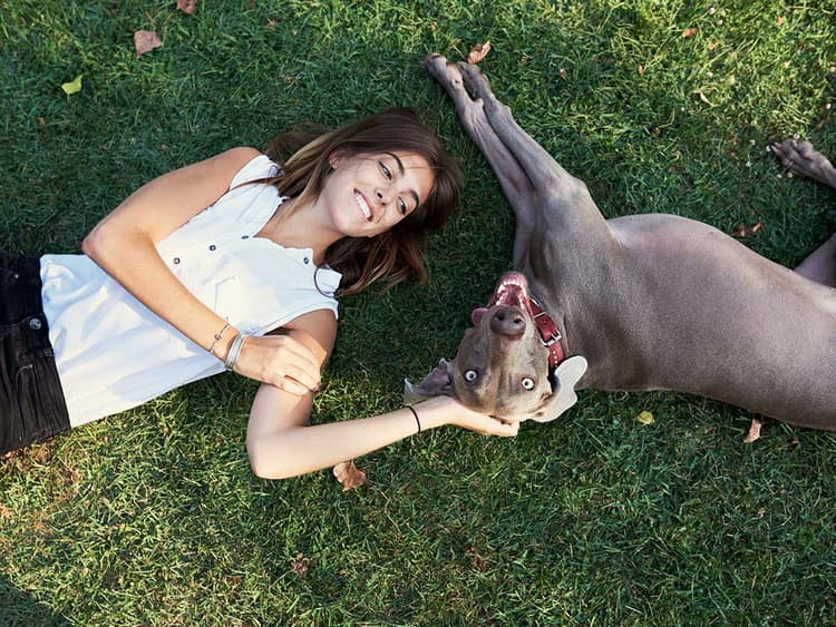 10 Ways You Can Make Your Dog’s Life Better
