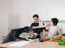 Is Cooking Your Dog’s Food Worth it?
