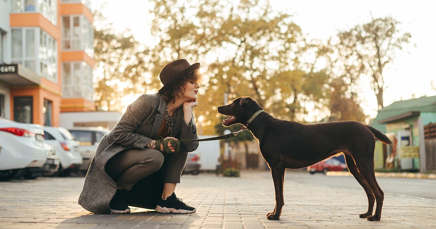 The Most Popular Dog Names of 2024