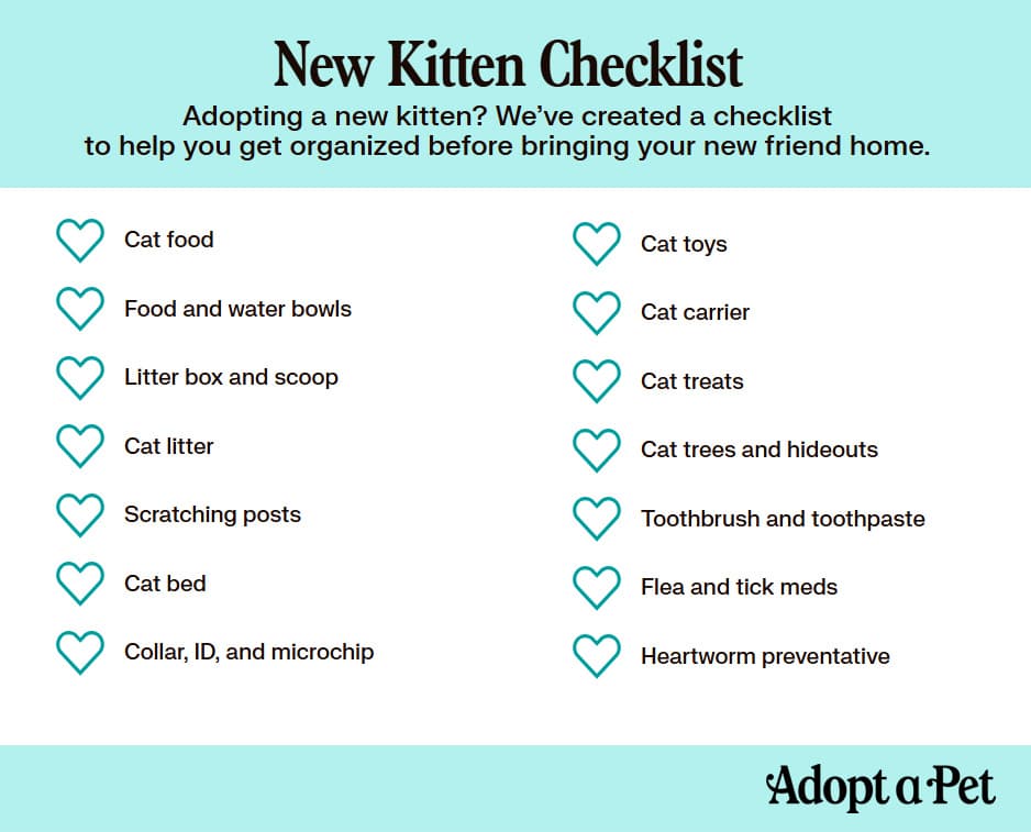 a checklist for new cat and kitten supplies and must-haves