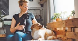 A Pet Parent’s Guide to Safe and Toxic Plants