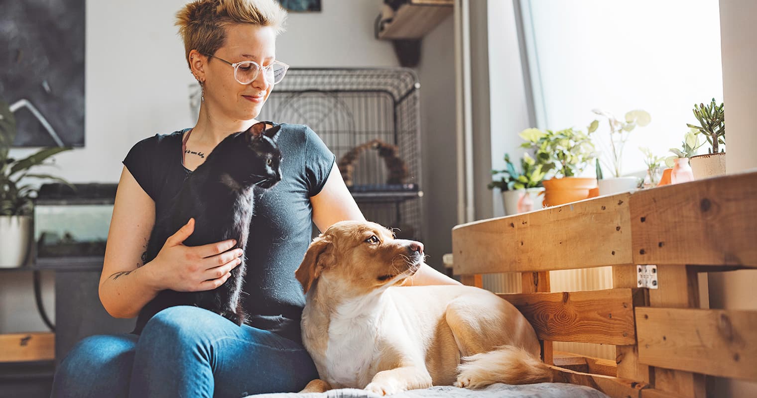 A Pet Parent’s Guide to Safe and Toxic Plants