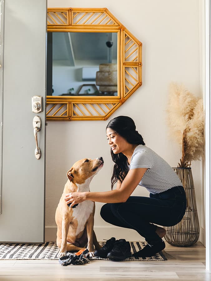 8 Helpful Tips for Pet Parents