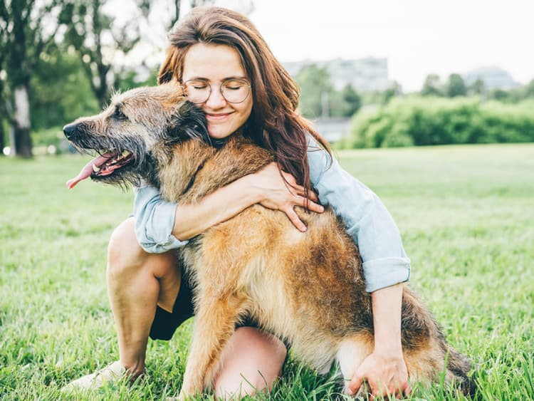 Want to Adopt a Senior Dog? Here’s Your Cheat Sheet to Achieving Your Dream