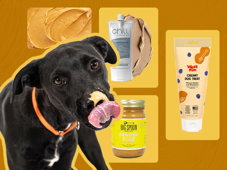 5 Peanut Butter Options Your Pup Will Obsess Over