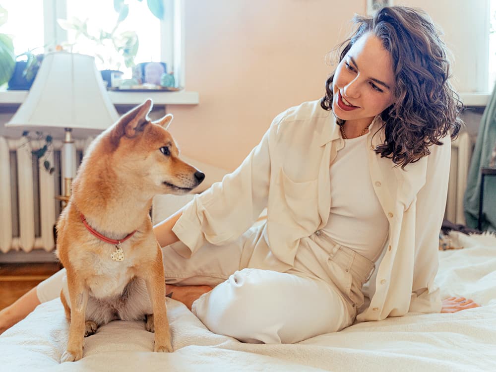 People Are Not Really Great at Reading Dogs' Emotions, New Study Says