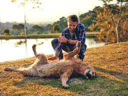 How to Teach Your Dog to Roll Over in 4 Simple Steps