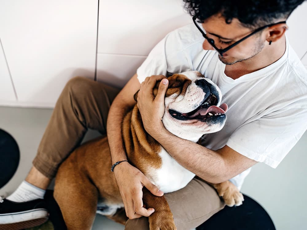man hugging adorable bulldog