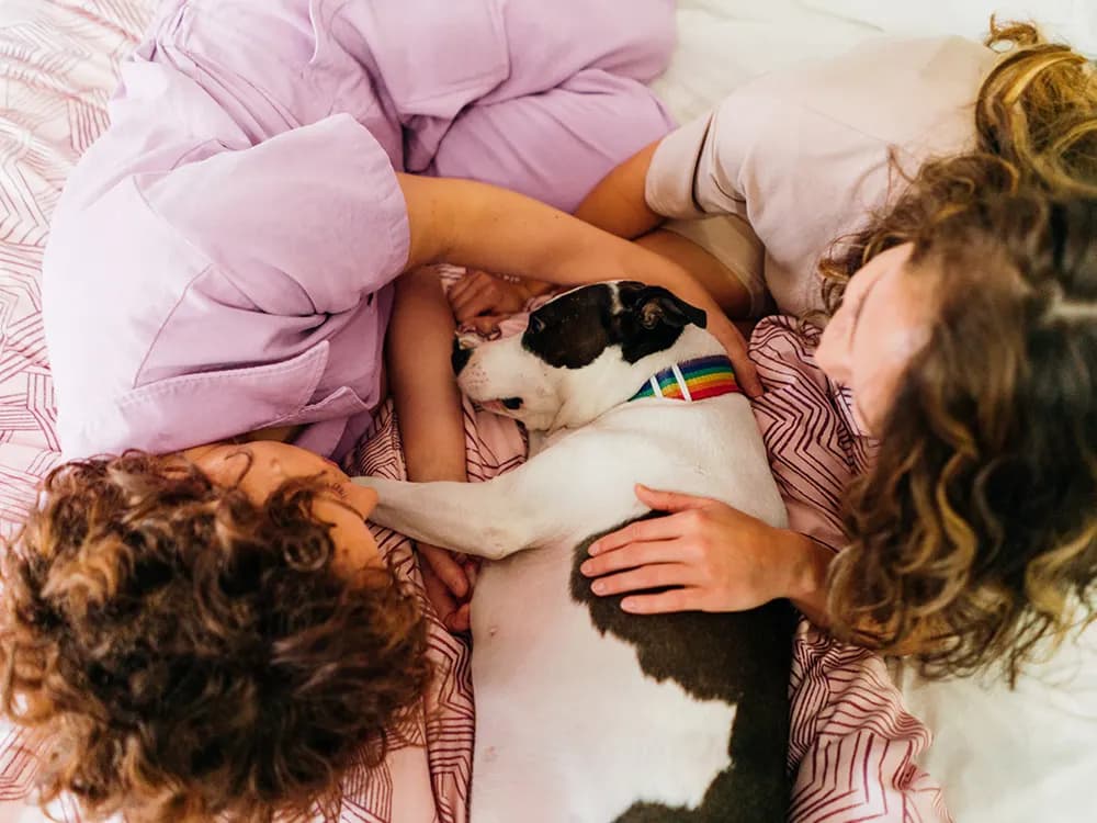 two people sitting with dog on bed