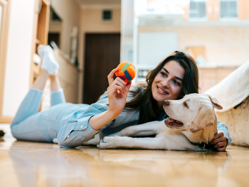 Your Dog Actually Knows the Words for Familiar Objects, Study Finds