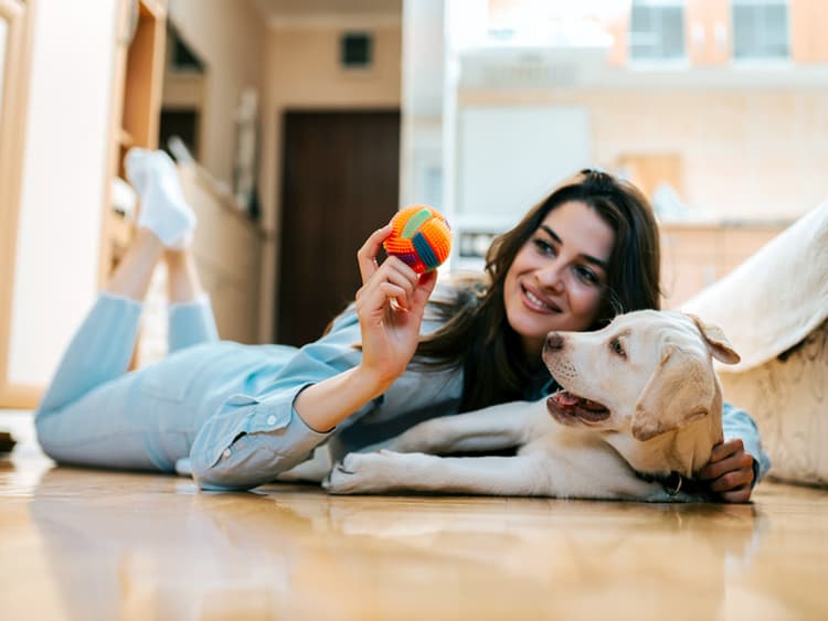 Your Dog Actually Knows the Words for Familiar Objects, Study Finds