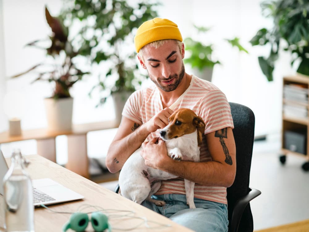 How to Train Your Dog for a Day At the Office