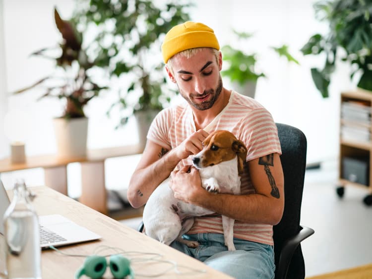How to Train Your Dog for a Day At the Office