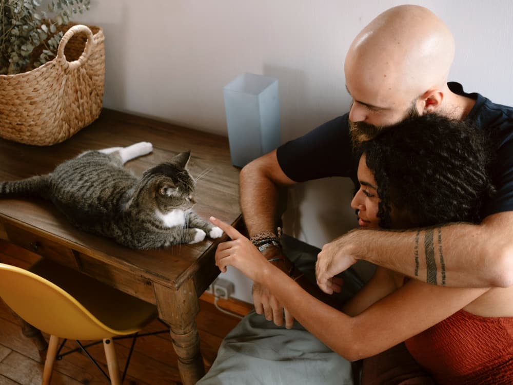 Let’s Talk About Pets, Baby