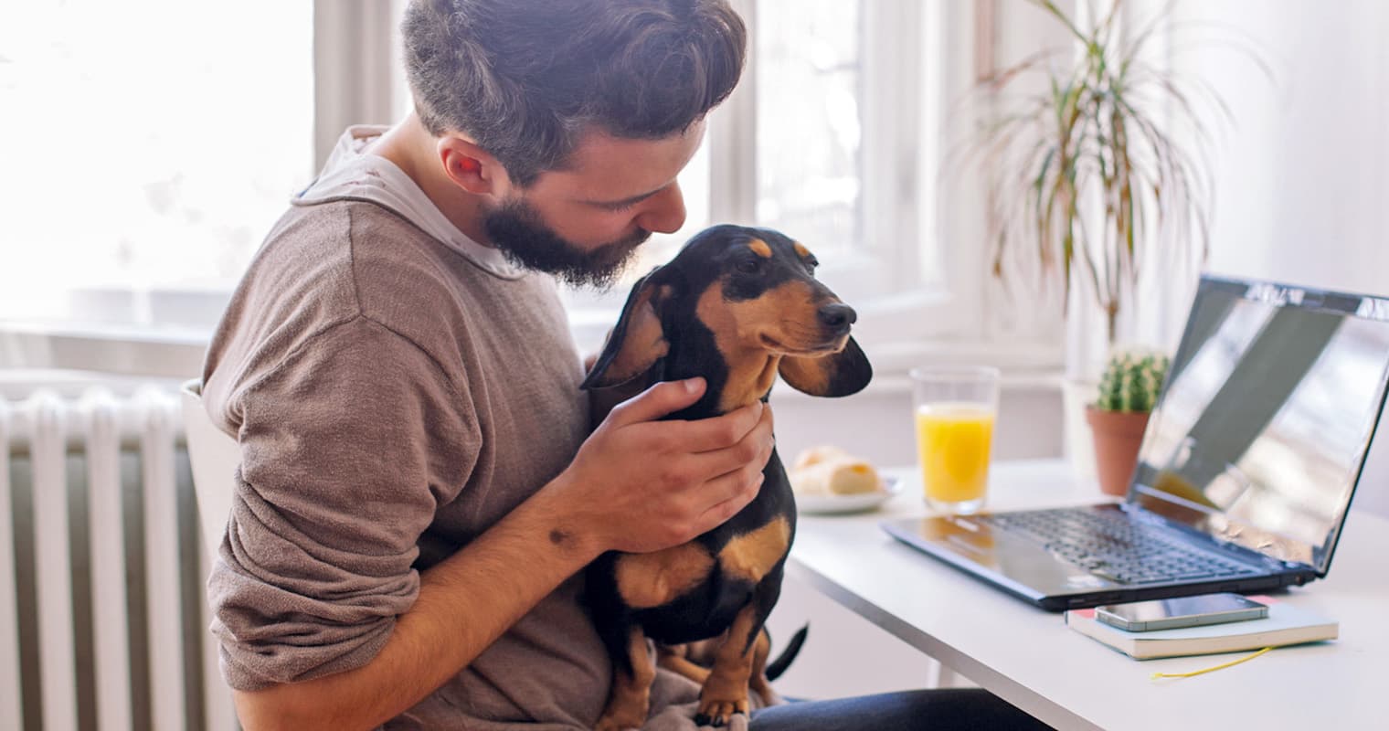 How Long Does It Take a Dachshund to Get Used to a New Home?
