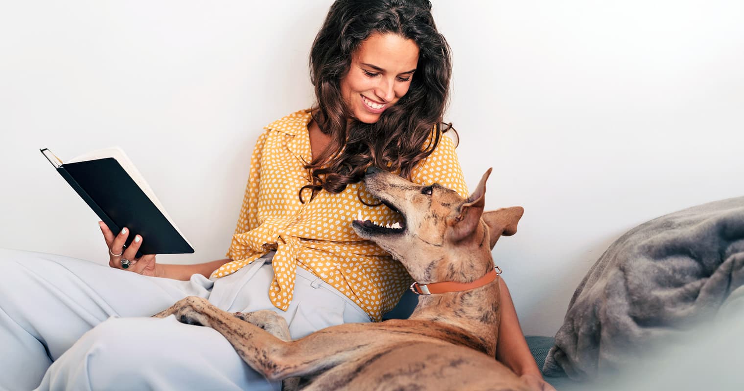 Woman looking at her cute brown greyhound dog at home.
