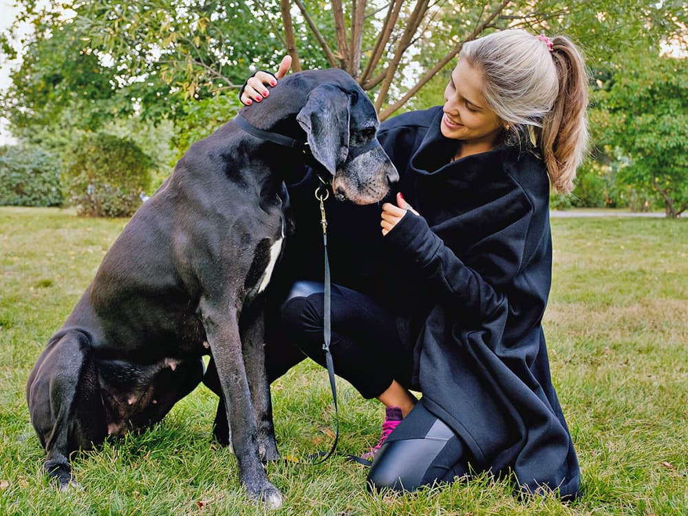 a black Great Dane outdoors with a woman