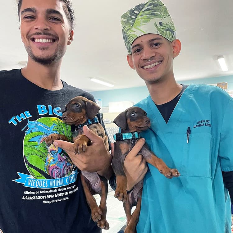 This Rescue Organization Has Made a Puerto Rican Island a Safe Haven for Pets
