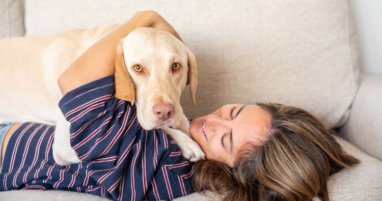 8 Reasons Rescue Dog Does Not Mean Problem Dog